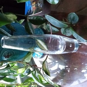 Antique Steuben Vase signed